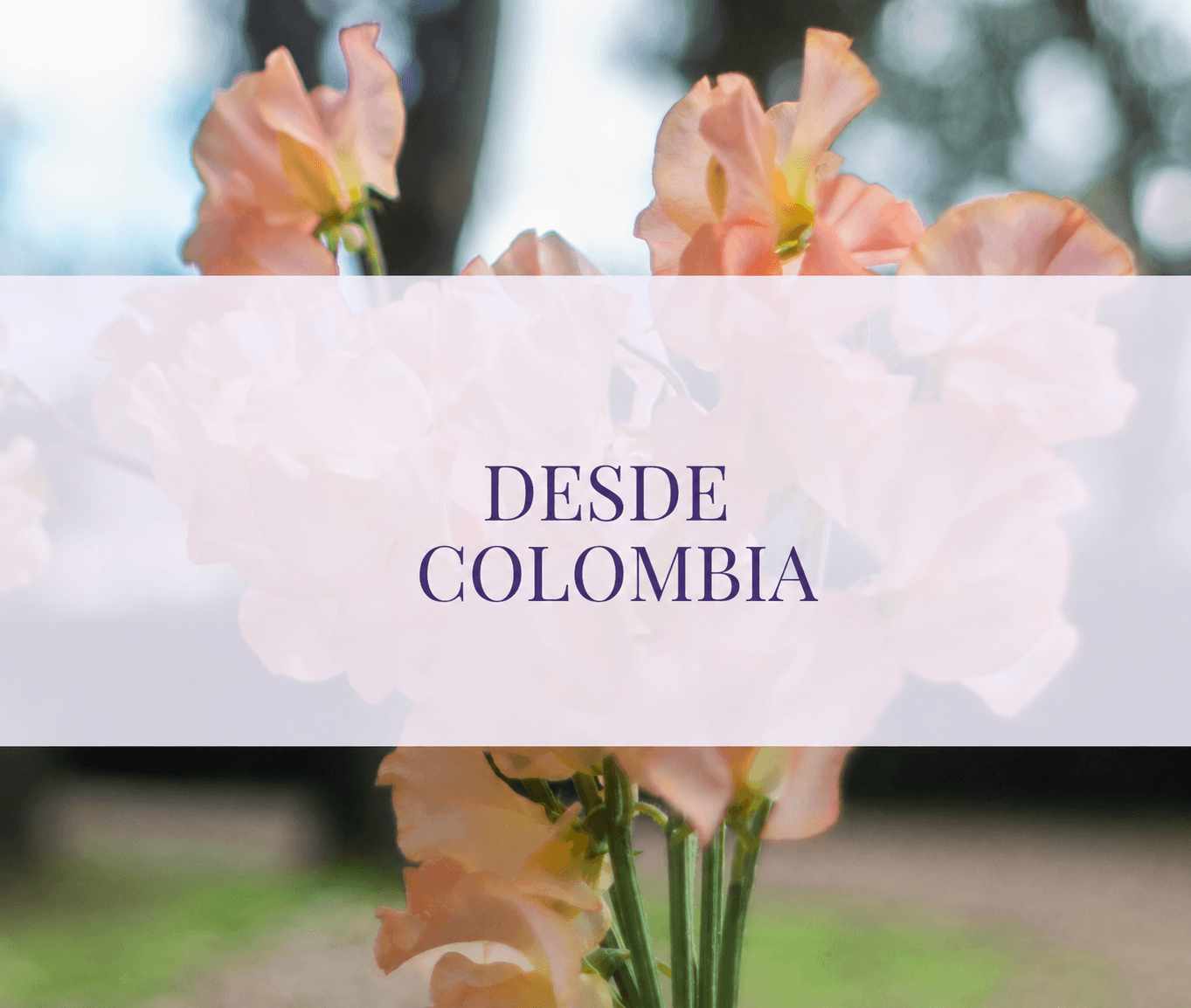 colombia