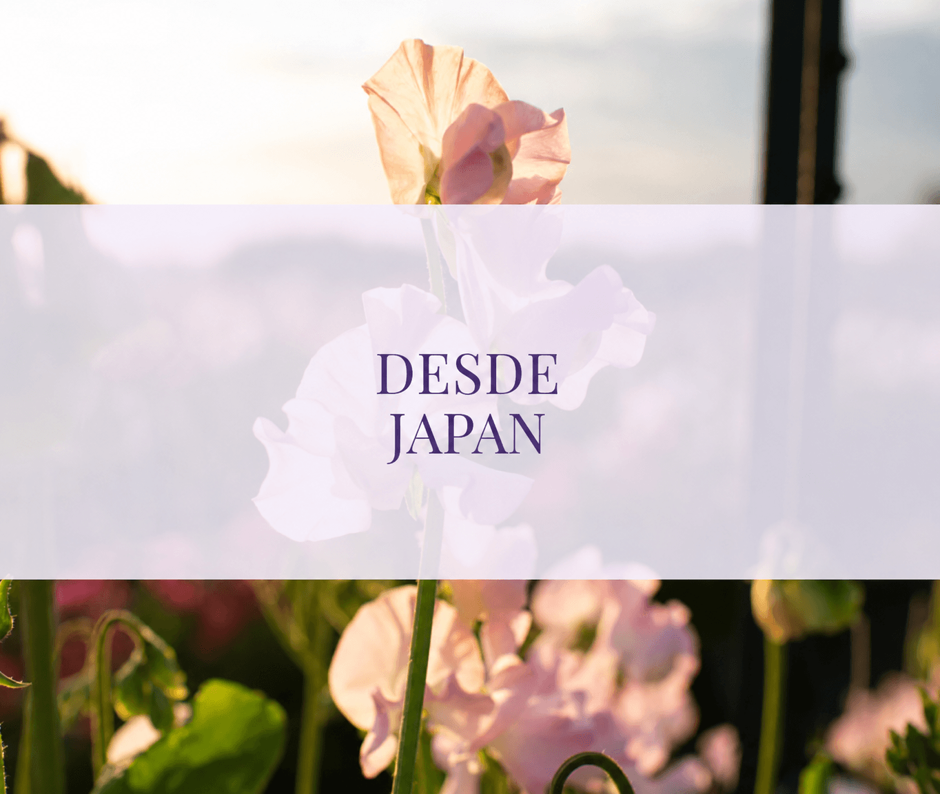 japon